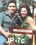 Paradise Hawaiian Style # jp-7c